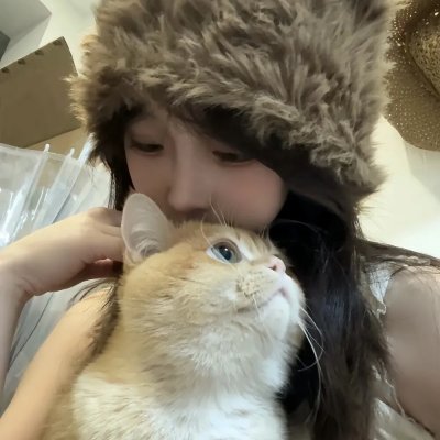 动画番剧